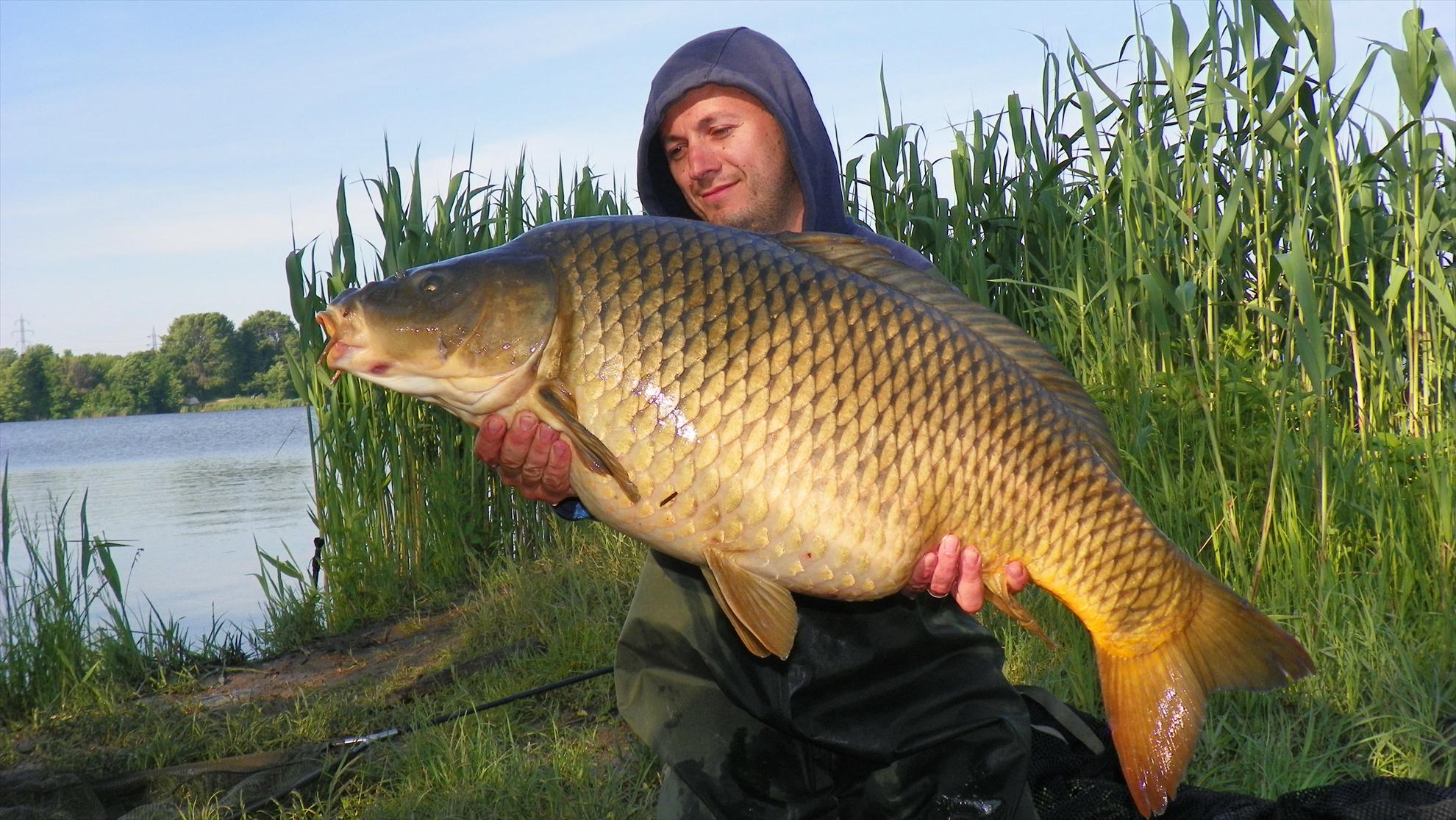 Crapmania (2) - 2011 - 1001156.JPG